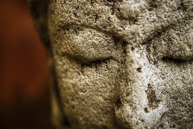 The Benefits of Yoga for Mind, Body, and Soul: A Beginner’s Journey