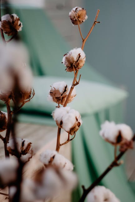 Essential Home Décor Ideas to Transform Your Living Space