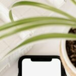 The Ultimate Guide to Starting a YouTube Channel: Content and Promotion