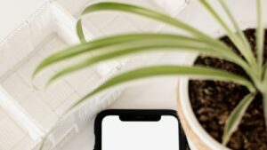 The Ultimate Guide to Starting a YouTube Channel: Content and Promotion