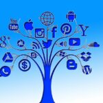The Complete Guide to Social Media Advertising: Platforms and Tactics