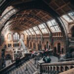 How to Leverage User-Generated Content for Your Brand