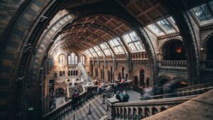 How to Leverage User-Generated Content for Your Brand