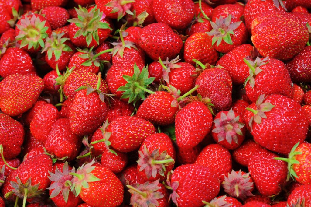 Mindful Eating for a Healthier You: Discover the Power of Conscious Consumption
