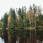 Boost Your Immune System Naturally: Essential Tips for a Stronger You