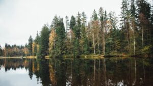 Boost Your Immune System Naturally: Essential Tips for a Stronger You