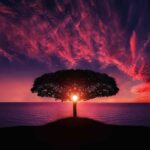 The Beauty of Nature: Connecting with the Outdoors for Well-being