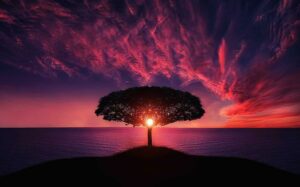 The Beauty of Nature: Connecting with the Outdoors for Well-being
