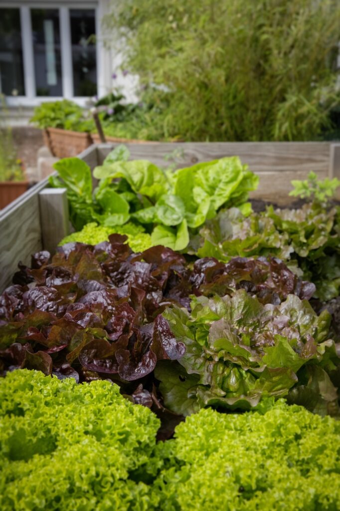 The Joy of Gardening: Cultivating Beauty and Serenity in Your Backyard