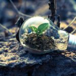 Cultivating a Growth Mindset: Embracing Challenges and Learning from Failure