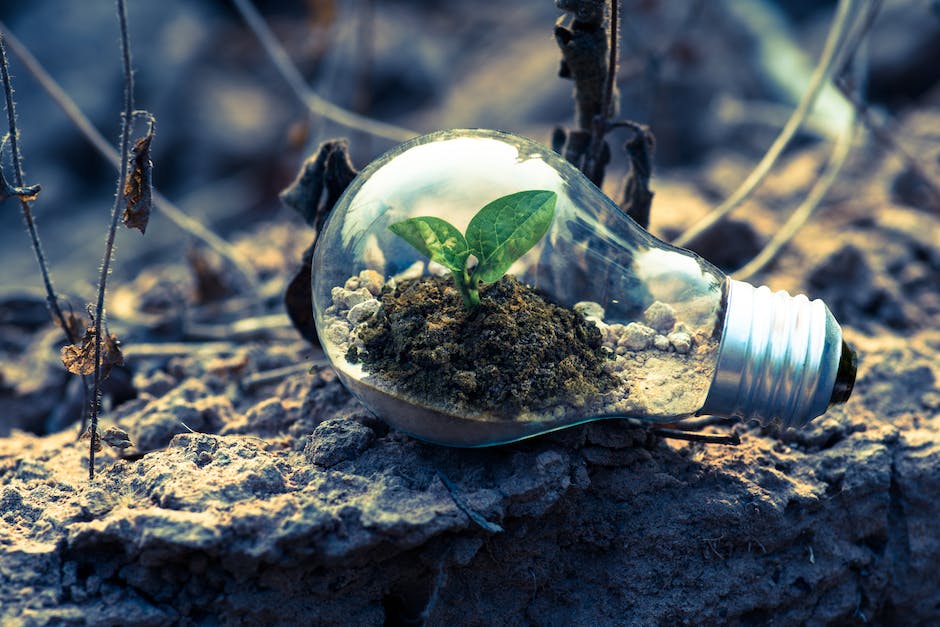Cultivating a Growth Mindset: Embracing Challenges and Learning from Failure