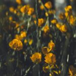 Embracing Mindful Parenting: Nurturing Children with Awareness and Love