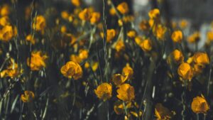 Embracing Mindful Parenting: Nurturing Children with Awareness and Love