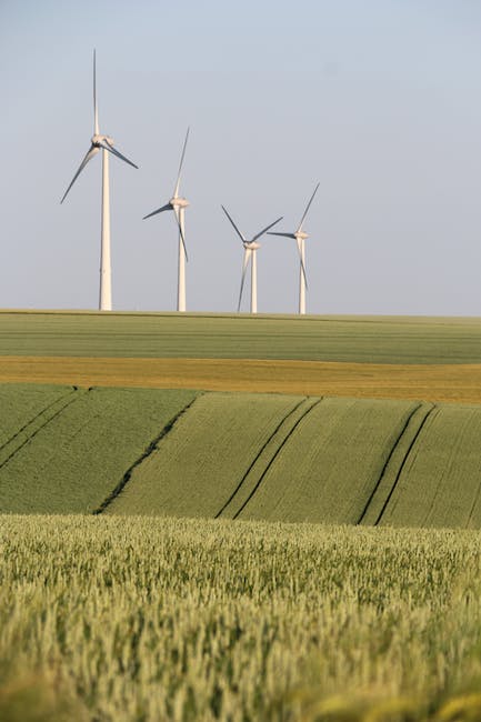 The Beauty of Sustainable Living: Nurturing the Planet and Creating a Better Future
