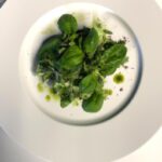 Exploring the World of Culinary Arts: From Gourmet Delights to Culinary Techniques