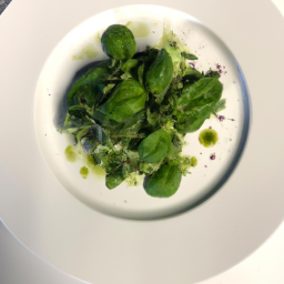 Exploring the World of Culinary Arts: From Gourmet Delights to Culinary Techniques