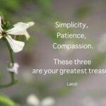 The Power of Voluntary Simplicity: Embracing Minimalism for a Meaningful Life