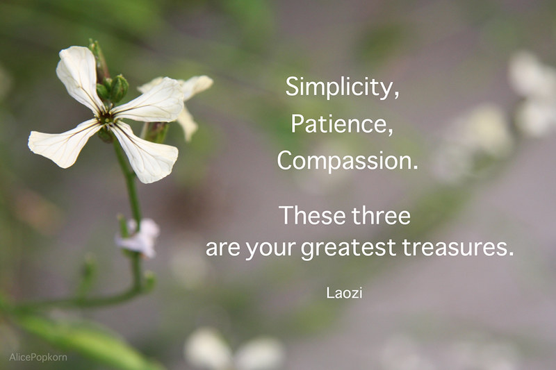 The Power of Voluntary Simplicity: Embracing Minimalism for a Meaningful Life
