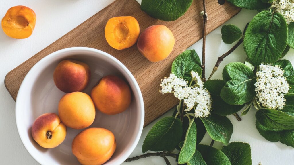 Discovering the Power of Plant Medicine: Healing with Herbs and Botanicals