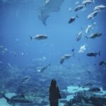 Unveiling Natural Wonders: Exploring Earth’s Spectacular Landscapes