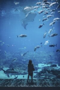 Unveiling Natural Wonders: Exploring Earth’s Spectacular Landscapes