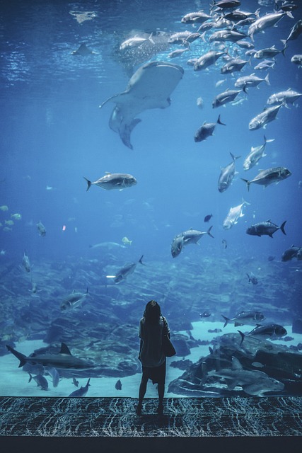 Unveiling Natural Wonders: Exploring Earth’s Spectacular Landscapes