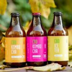 Beyond Kombucha: Crafting Probiotic Elixirs for Gut Health