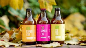 Beyond Kombucha: Crafting Probiotic Elixirs for Gut Health