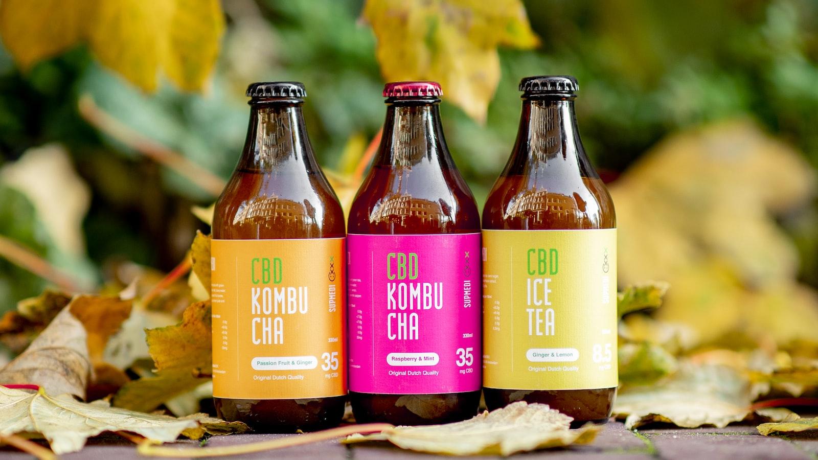 Beyond Kombucha: Crafting Probiotic Elixirs for Gut Health