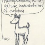 Neuroplasticity and Cognitive Fitness: Unlocking the Brain’s Potential