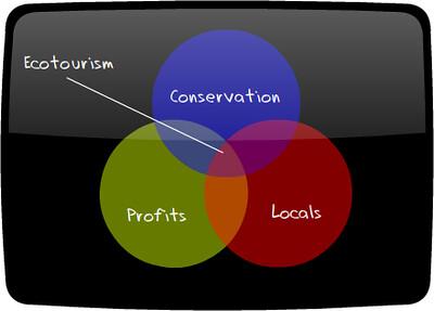 The Power of Ecotourism: Exploring Nature Responsibly