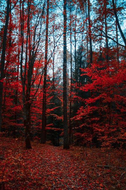 Soundscapes of Nature: The Healing Power of Environmental Sounds