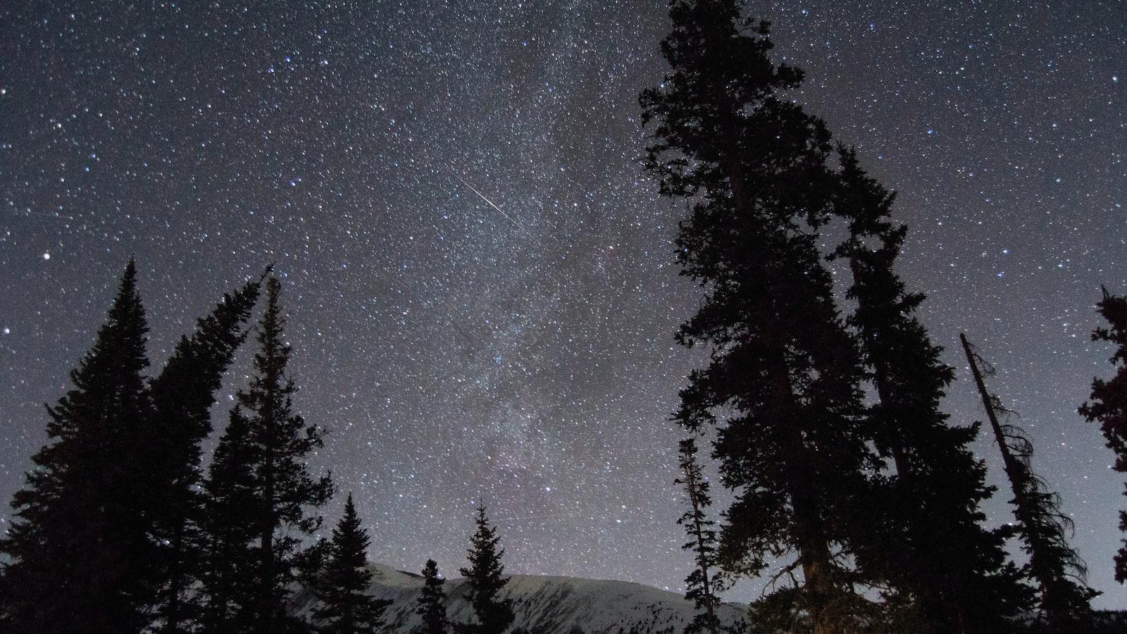 The Poetry of Space Exploration: Art and Expression Beyond Earth
