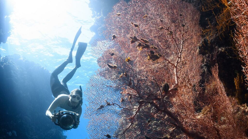Exploring Underwater Archaeology: Unearthing Sunken Secrets of History