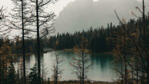 Micro Adventures: Finding Excitement in Bite-Sized Outdoor Escapes