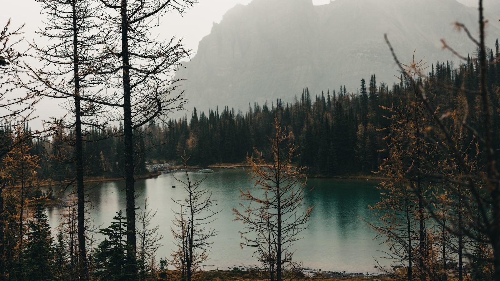 Micro Adventures: Finding Excitement in Bite-Sized Outdoor Escapes