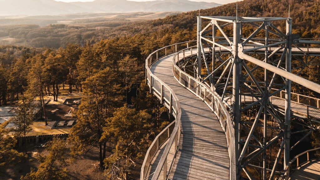 Elevate Your Social Media Game: Strategies for 2024