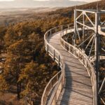 Elevate Your Social Media Game: Strategies for 2024