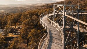 Elevate Your Social Media Game: Strategies for 2024