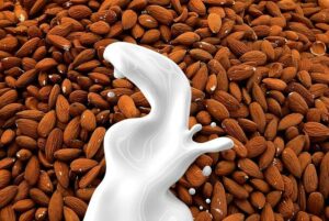 Beyond the Hype: The Real Benefits of Plant-Based Diets