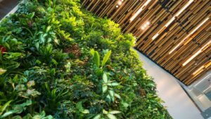 The Ultimate Guide to Sustainable Living: Easy Steps for a Greener You