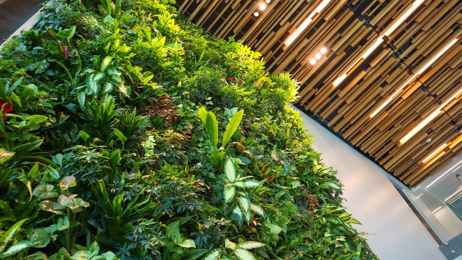 The Ultimate Guide to Sustainable Living: Easy Steps for a Greener You