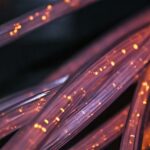 Tech Innovations: Exciting Developments to Watch