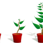 Personal Growth: Strategies for Continuous Improvement