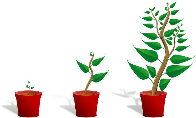 Personal Growth: Strategies for Continuous Improvement