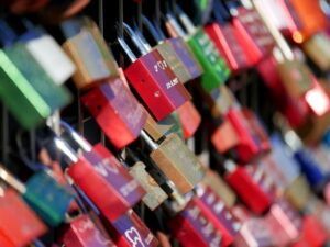 Future-Proof Your Career: Skills and Trends
