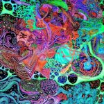 Psychedelic Therapies: Healing Explorations