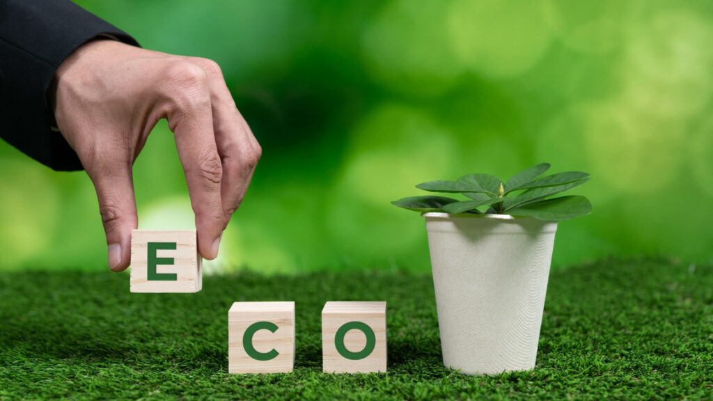 Eco-Friendly Fashion on a Budget