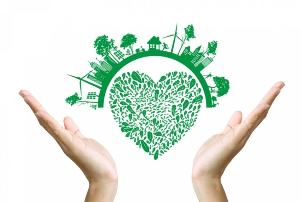Ethical Consumerism: Making Informed Choices