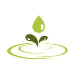 Eco-Friendly Habits for a Greener Lifestyle